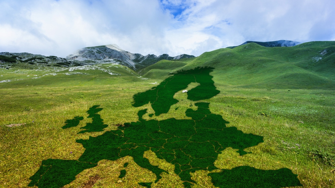 Webinarium „Europejski Zielony Ład – szanse i zagrożenia”